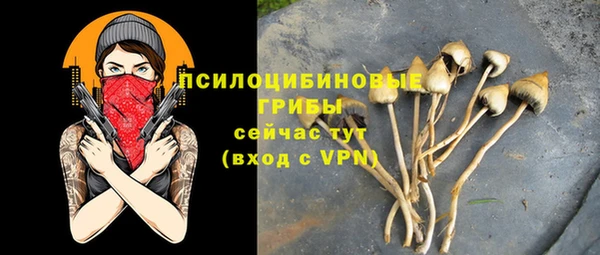 стафф Верхнеуральск