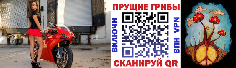 наркотики  Вышний Волочёк  Псилоцибиновые грибы ЛСД 